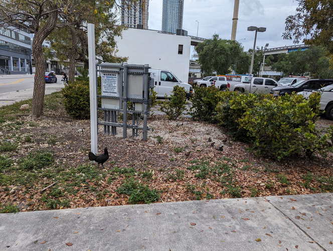 MIA_2024-03-22 07-45-38_PXL_20240322_114538818